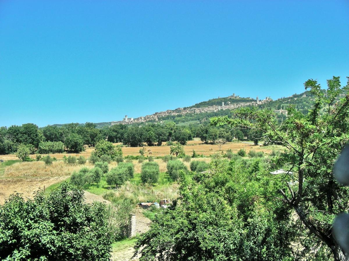 B&B Torrematta อัสซิซี ภายนอก รูปภาพ
