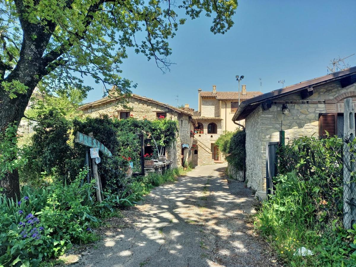 B&B Torrematta อัสซิซี ภายนอก รูปภาพ