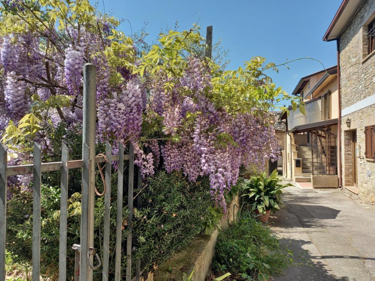 B&B Torrematta อัสซิซี ภายนอก รูปภาพ