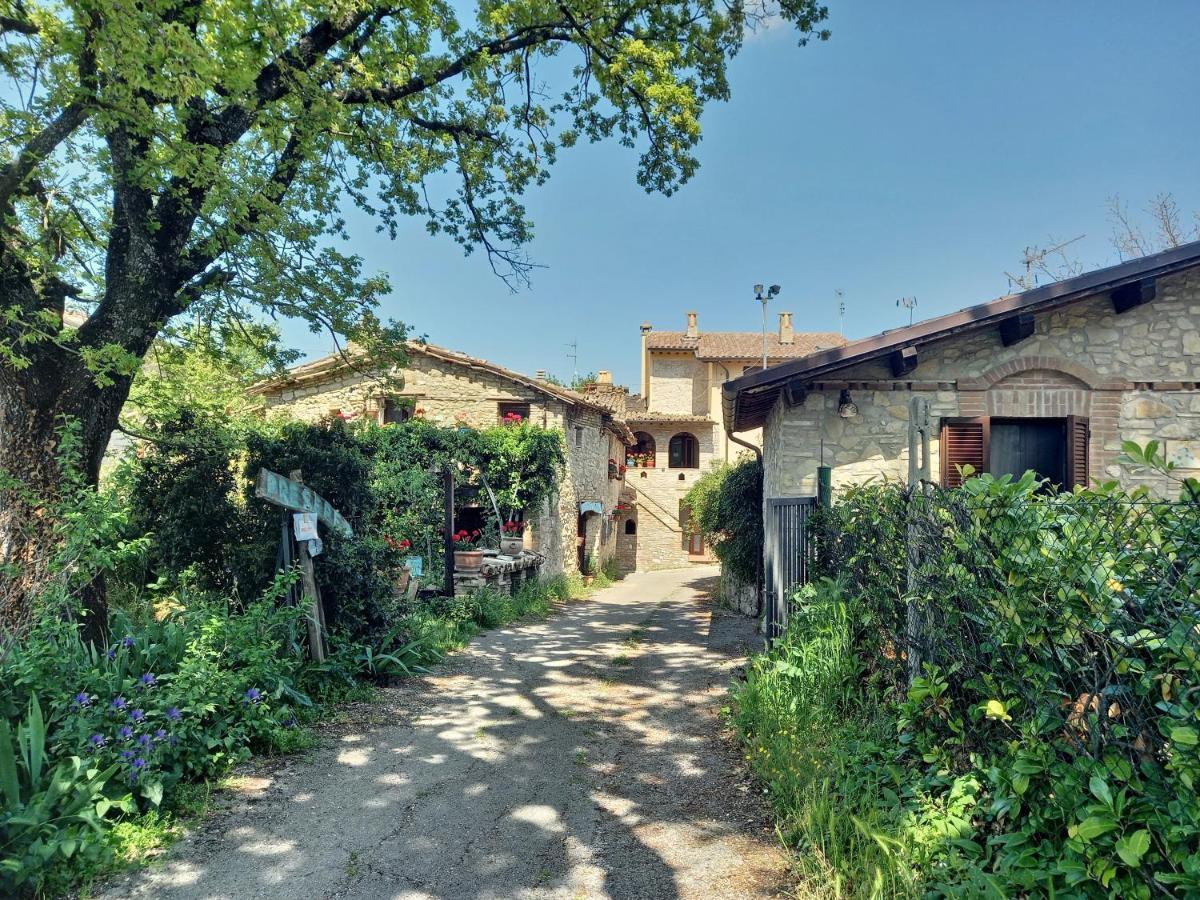 B&B Torrematta อัสซิซี ภายนอก รูปภาพ